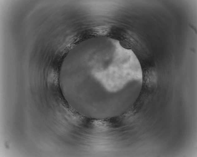 X0000102350568200808221656