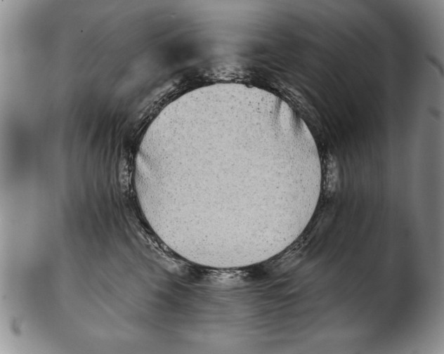 X0000102350569200808221656