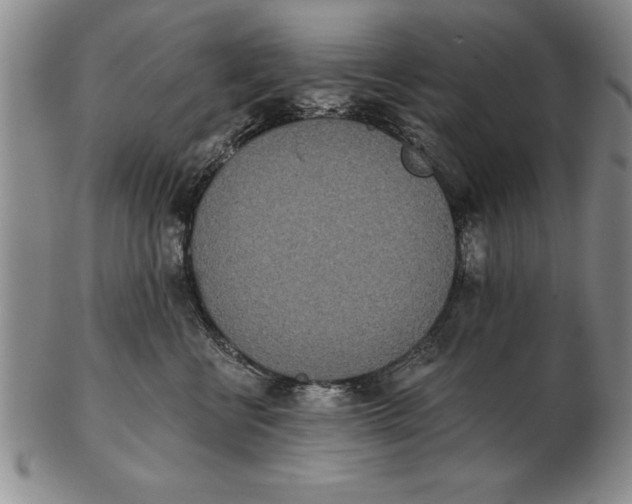 X0000102350570200808221656