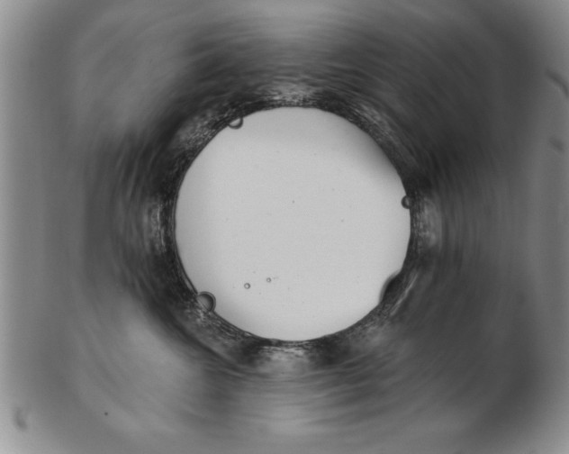 X0000102350572200808221656