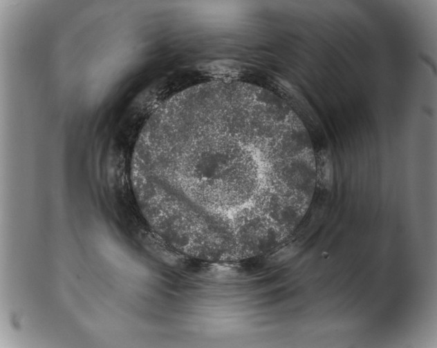 X0000102350573200808221656