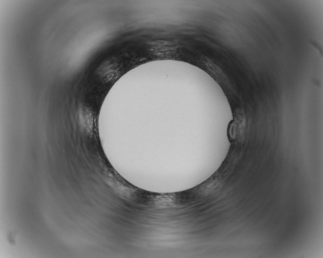 X0000102350574200808221656