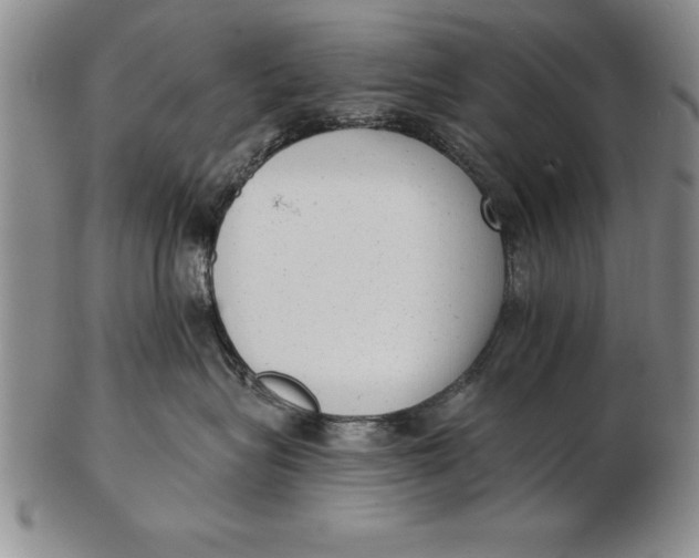 X0000102350575200808221656
