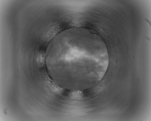 X0000102350576200808221656