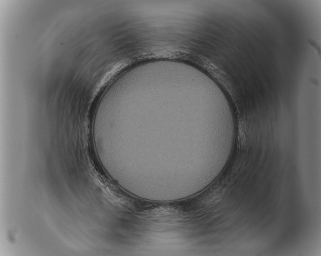 X0000102350578200808221656
