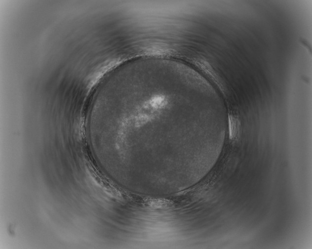 X0000102350579200808221656