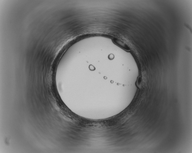X0000102350580200808221656