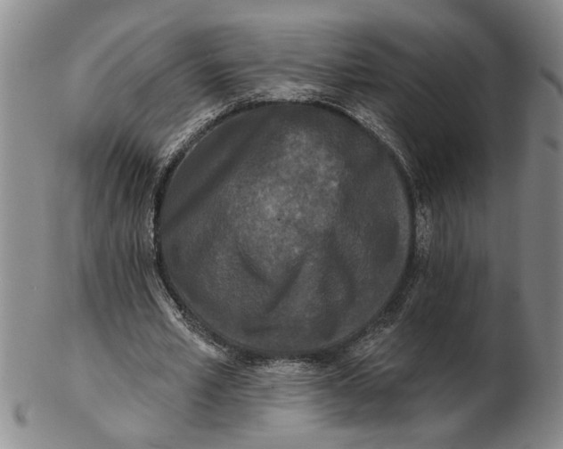 X0000102350581200808221656