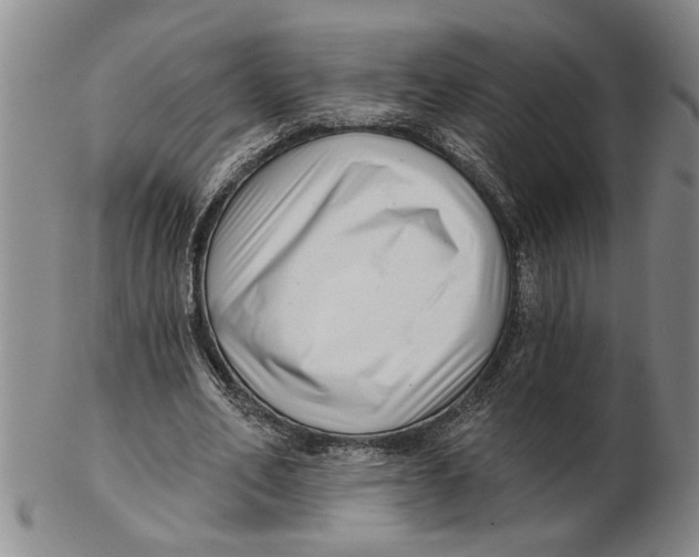 X0000102350582200808221656