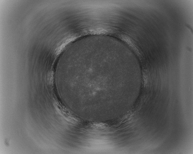 X0000102350583200808221656