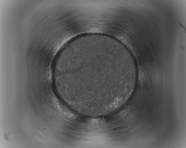 X0000102350584200808221656