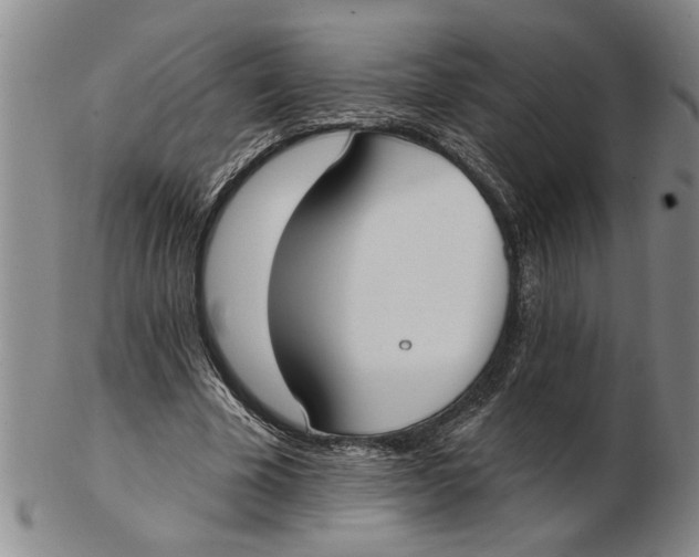 X0000102350585200808221656