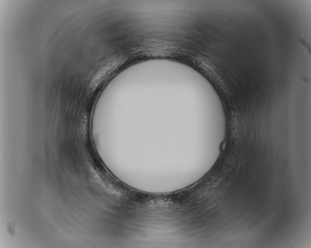 X0000102350586200808221656