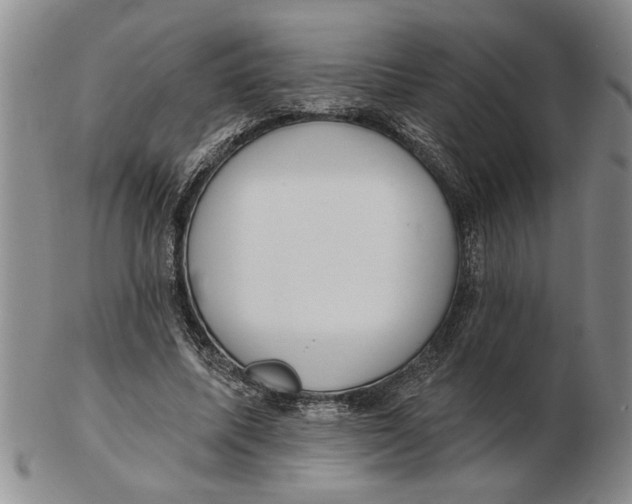 X0000102350587200808221655