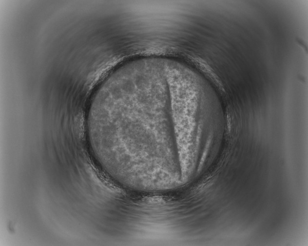 X0000102350588200808221655