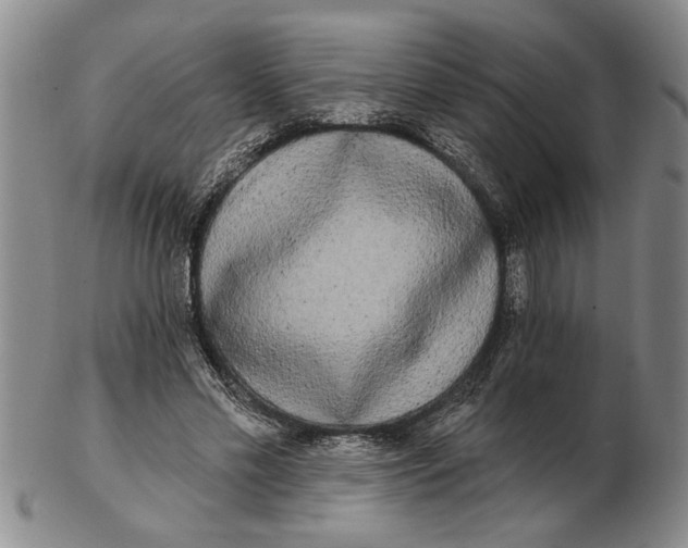 X0000102350589200808221655