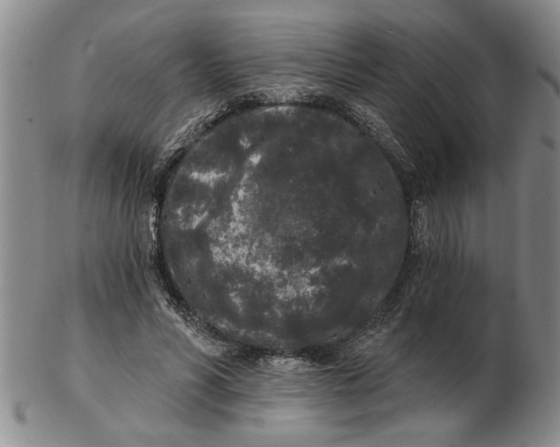 X0000102350590200808221655