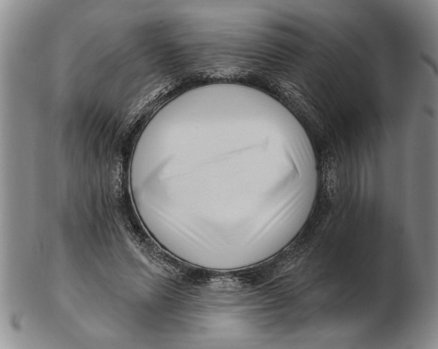 X0000102350591200808221655