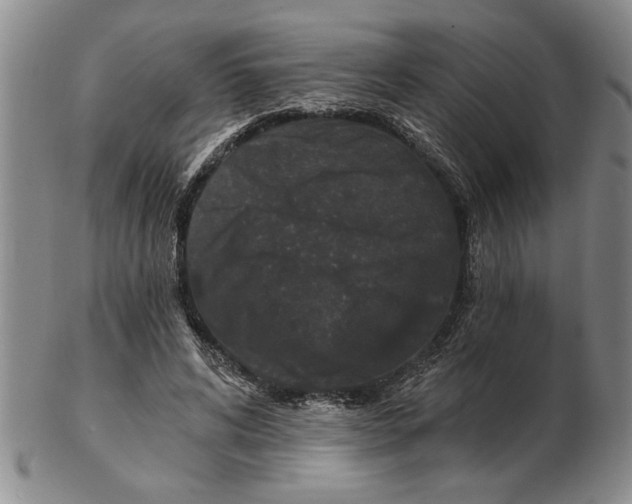 X0000102350592200808221655