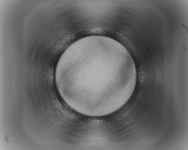 X0000102350593200808221655