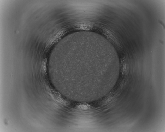 X0000102350595200808221655