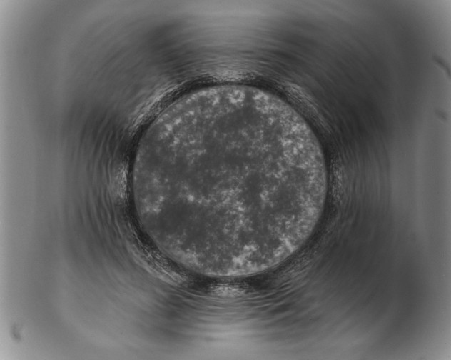 X0000102350596200808221655