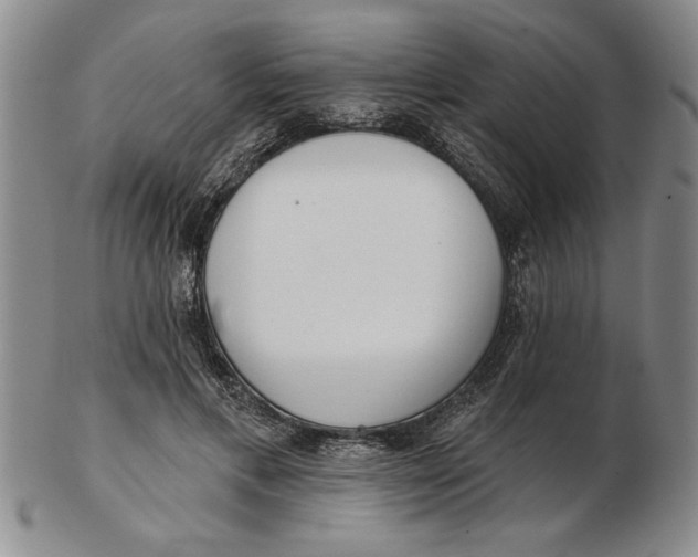 X0000102350597200808221655