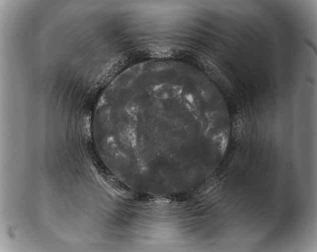 X0000102350598200808221655