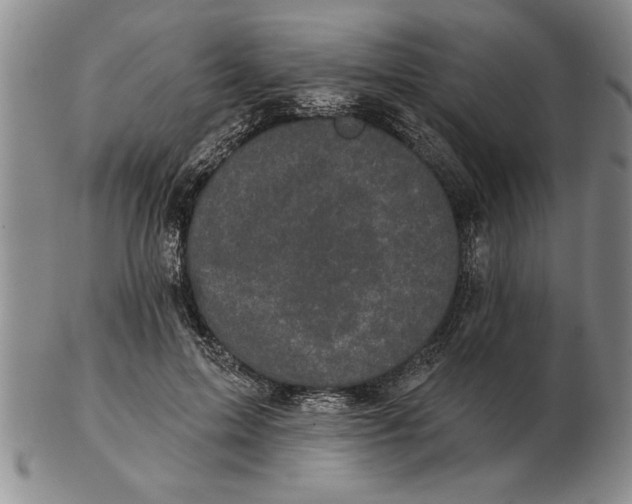 X0000102350599200808221655