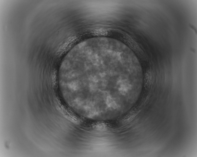 X0000102350600200808221655