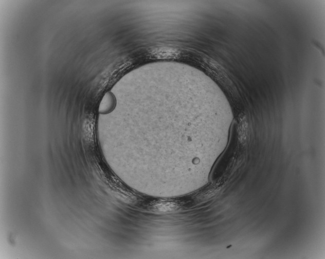 X0000102350604200808221655