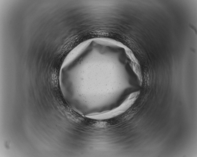 X0000102350609200808221655