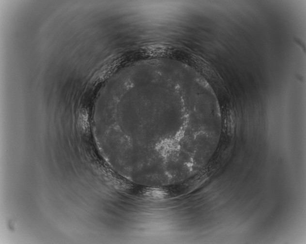 X0000102350610200808221655