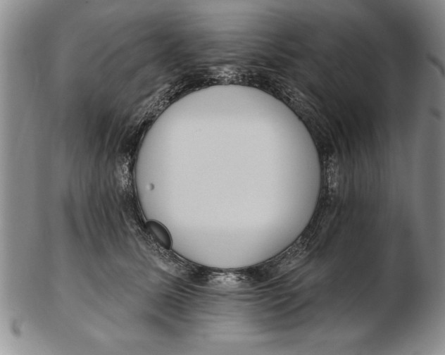 X0000102350611200808221655