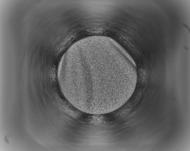 X0000102350612200808221655