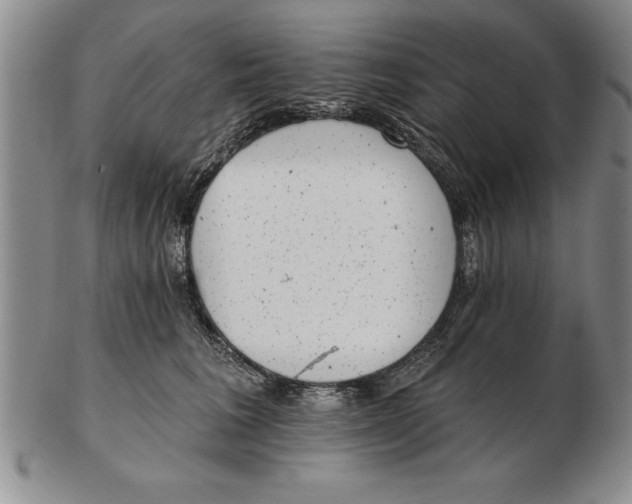 X0000102350613200808221655