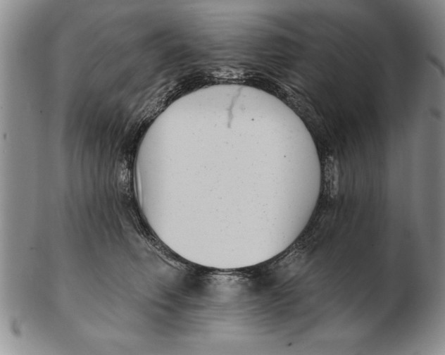 X0000102350614200808221655