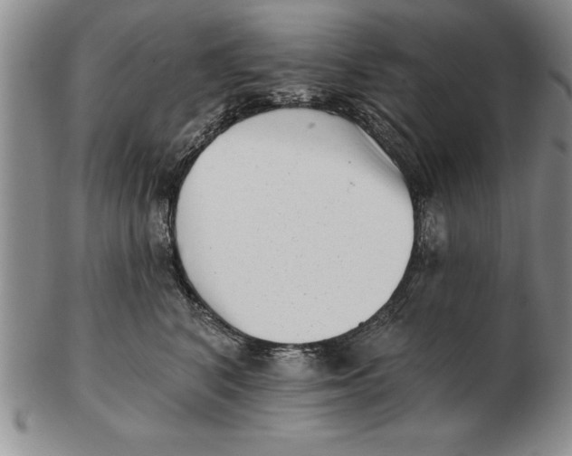 X0000102350616200808221655