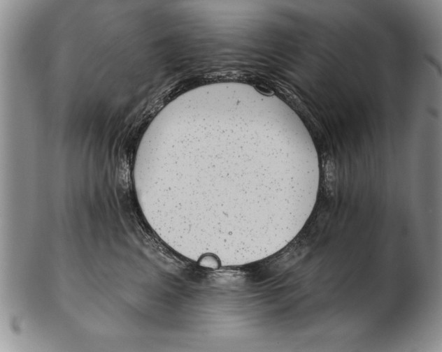 X0000102350617200808221655