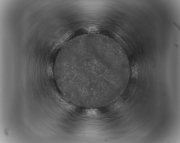 X0000102350618200808221655