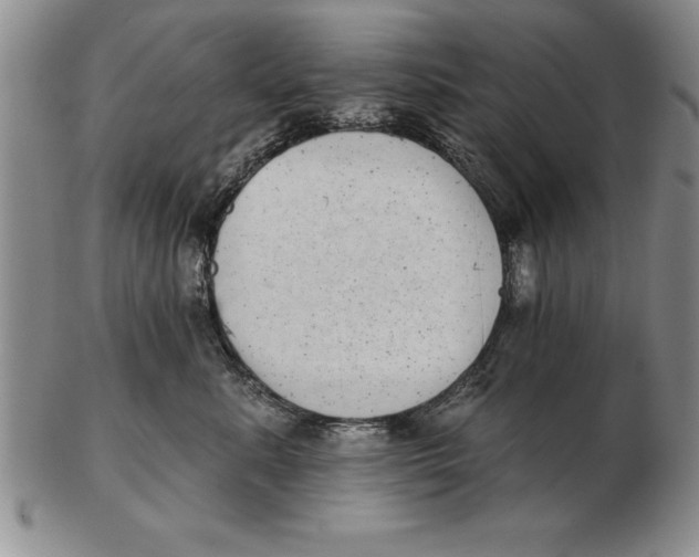 X0000102350619200808221655