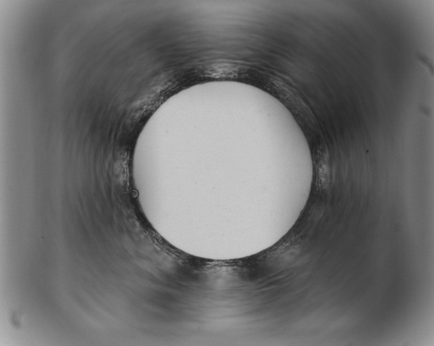 X0000102350620200808221655