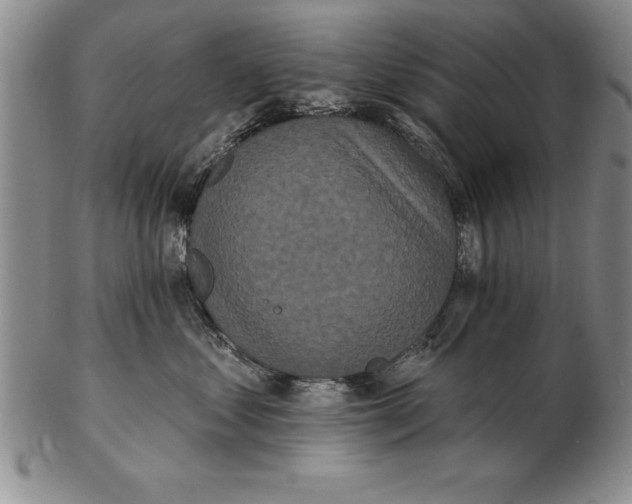 X0000102350621200808221655