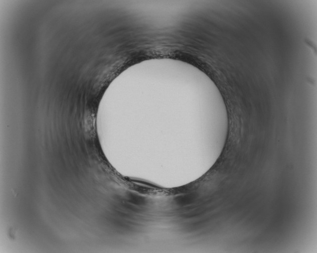 X0000102350624200808221655