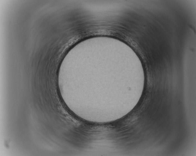 X0000102350625200808221654