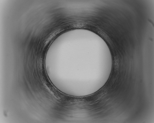 X0000102350626200808221654