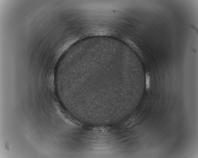 X0000102350627200808221654