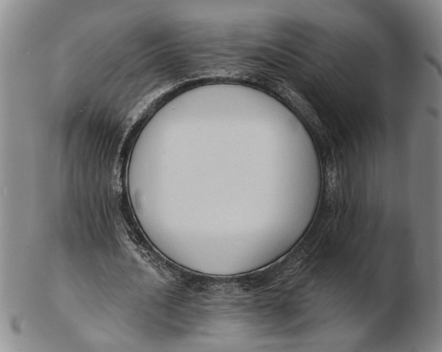 X0000102350628200808221654