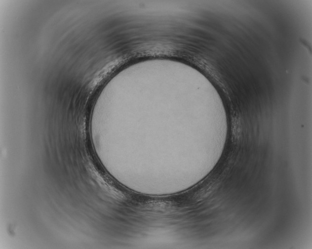 X0000102350629200808221654