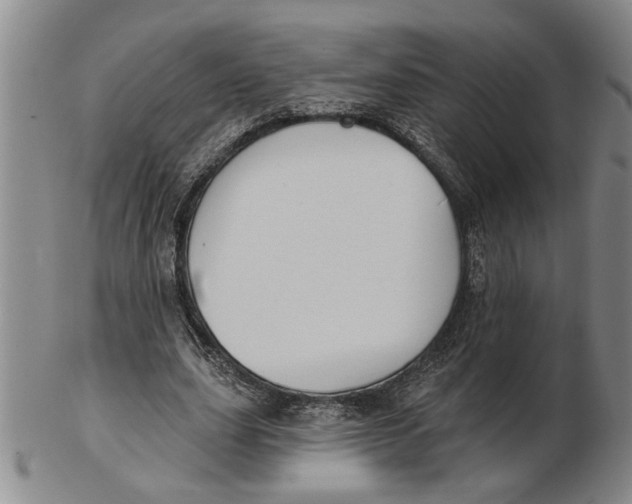 X0000102350631200808221654